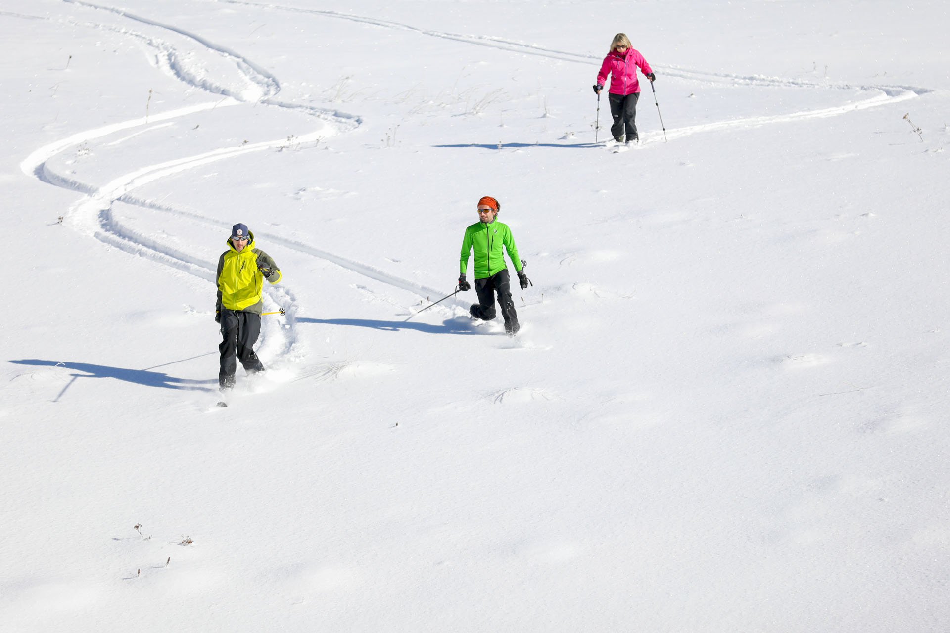 Le concept du Ski-Raquette : les avantages de la raquette à neige et le  plaisir de la glisse. - Skis Raquettes